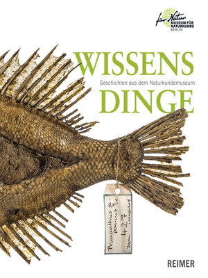 cover image of Wissensdinge